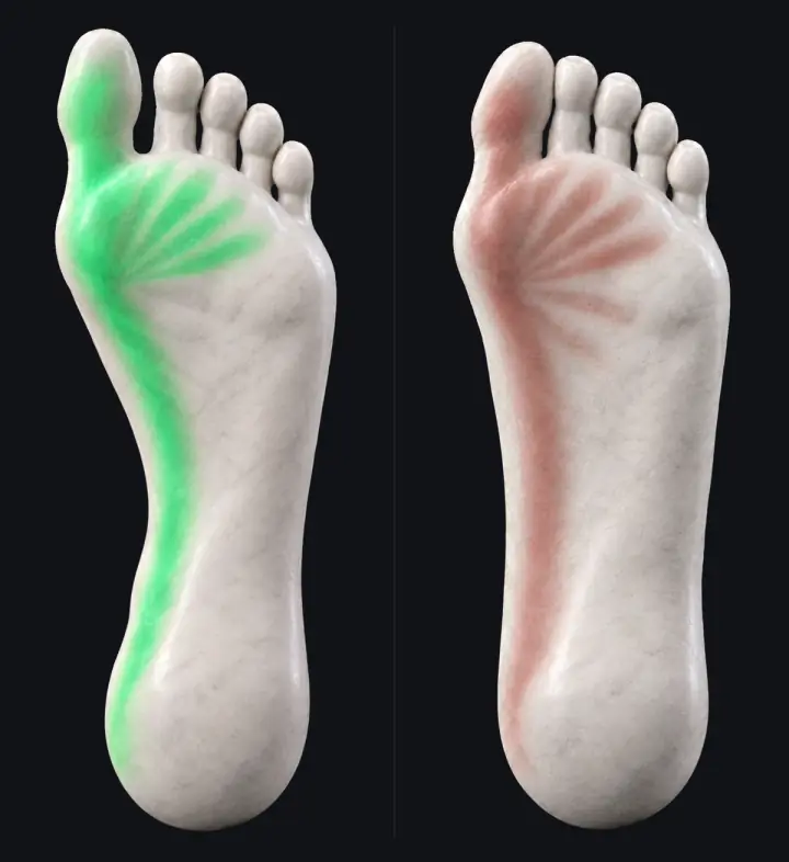 Two marble statues' soles from below. Left: the big toe and the line along the inner arch glow green (working), with the forefoot spread. Right: the same lines glow a dimmer red (asleep): the big toe isn't pressing down and the arch isn't holding.